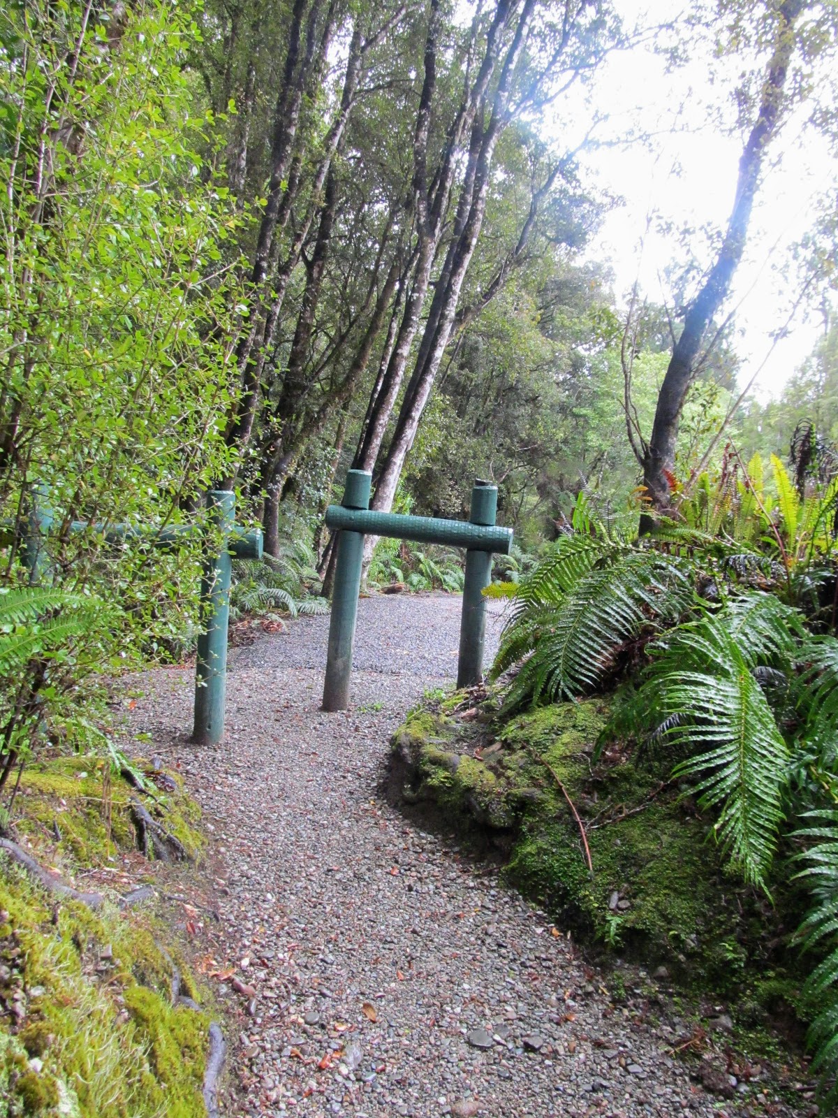 Tramping in the New Zealand backcountry NZ Bush Adventures Hokitika