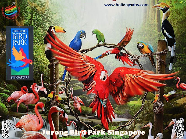 The most important attractions and activities in Singapore
