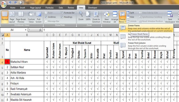 Cara Simple Mengunci Judul Tabel MS Excel Tetap Berada Diatas