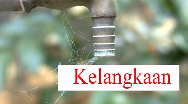 Pengertian Kelangkaan Ciriciri, Penyebab, Jenis Jenis, Dampak Dan