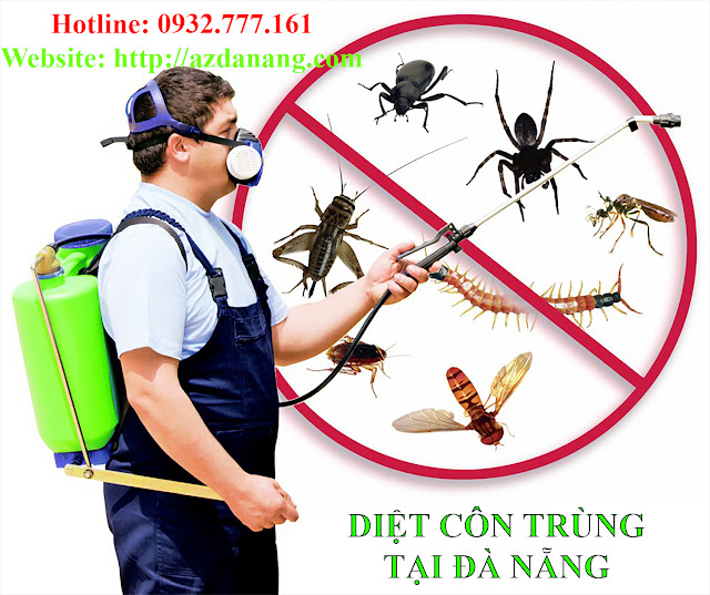 Dịch vụ diệt côn trùng tại Đà Nẵng Diet-con-trung-tai-da-nang