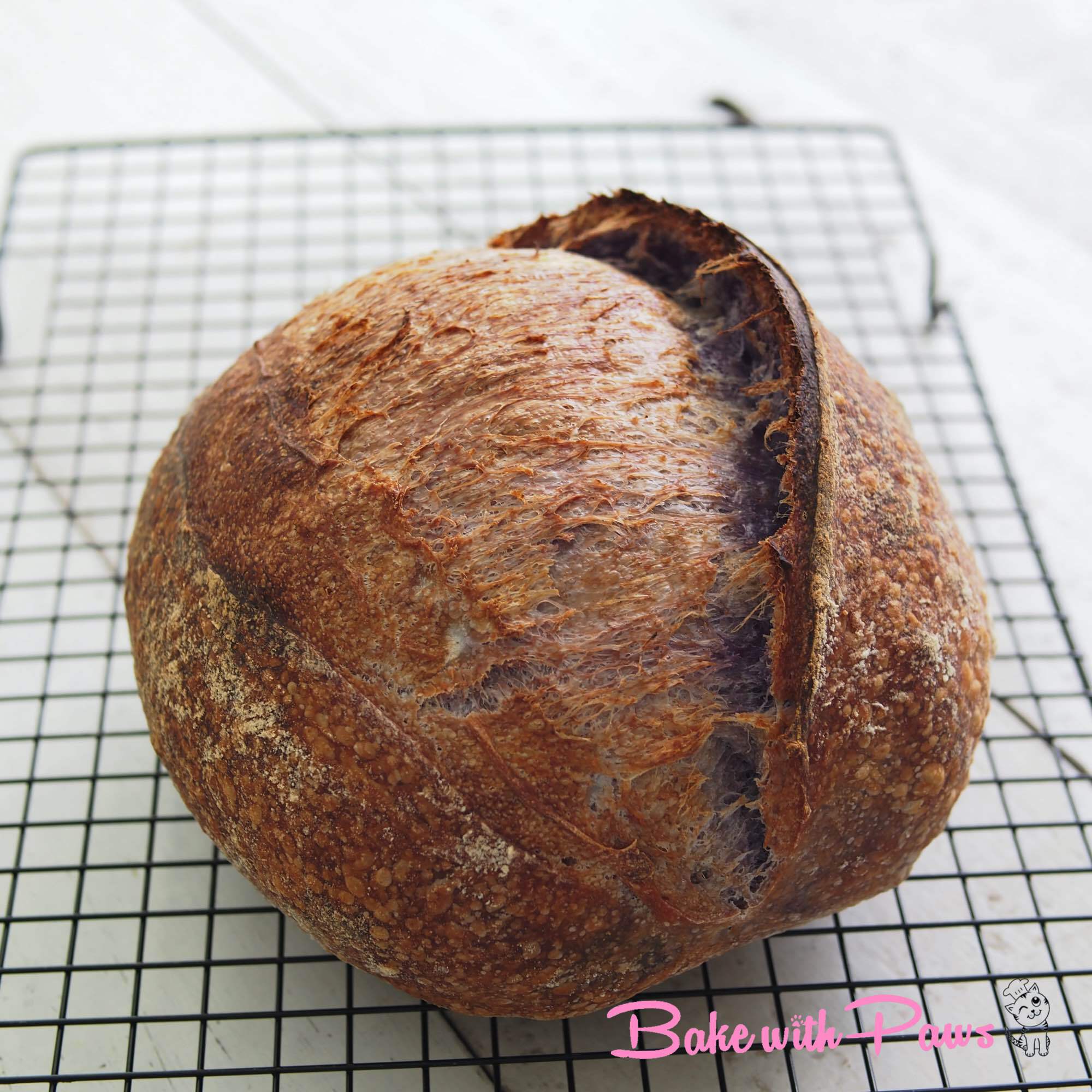 Marbled Butterfly Pea Flower Sourdough Bread BAKE WITH PAWS