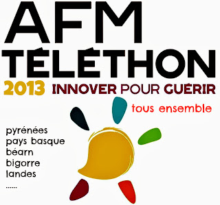 Téléthon 2013 à Bayonne  