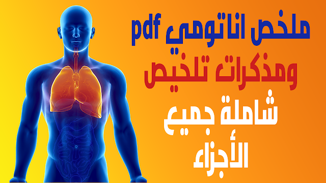 ملخص اناتومي pdf