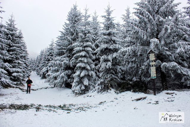 Szlak na Jested Liberec