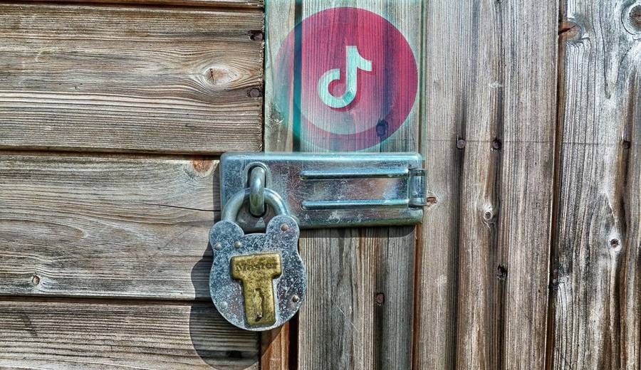 Tiktok Shutting India Business Report Business, Entertainment