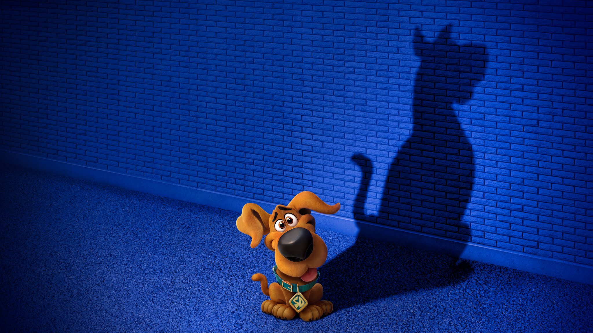 Wallpaper Scooby Doo, Cute, Dog, 4k