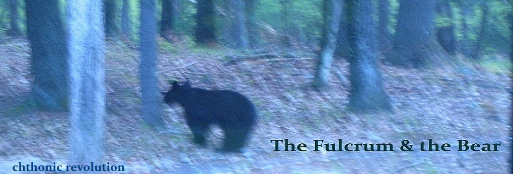 the fulcrum and the bear 
