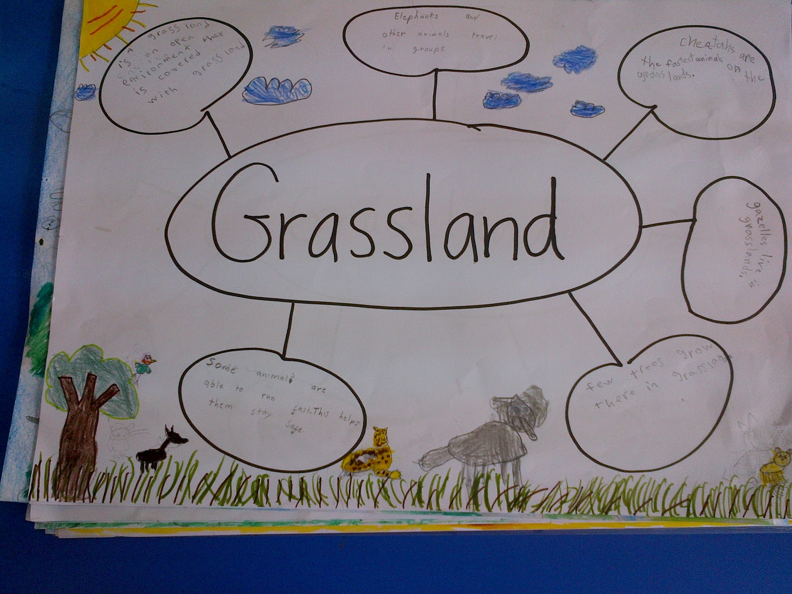 Teaching with Style Science group activity (Different Environments)