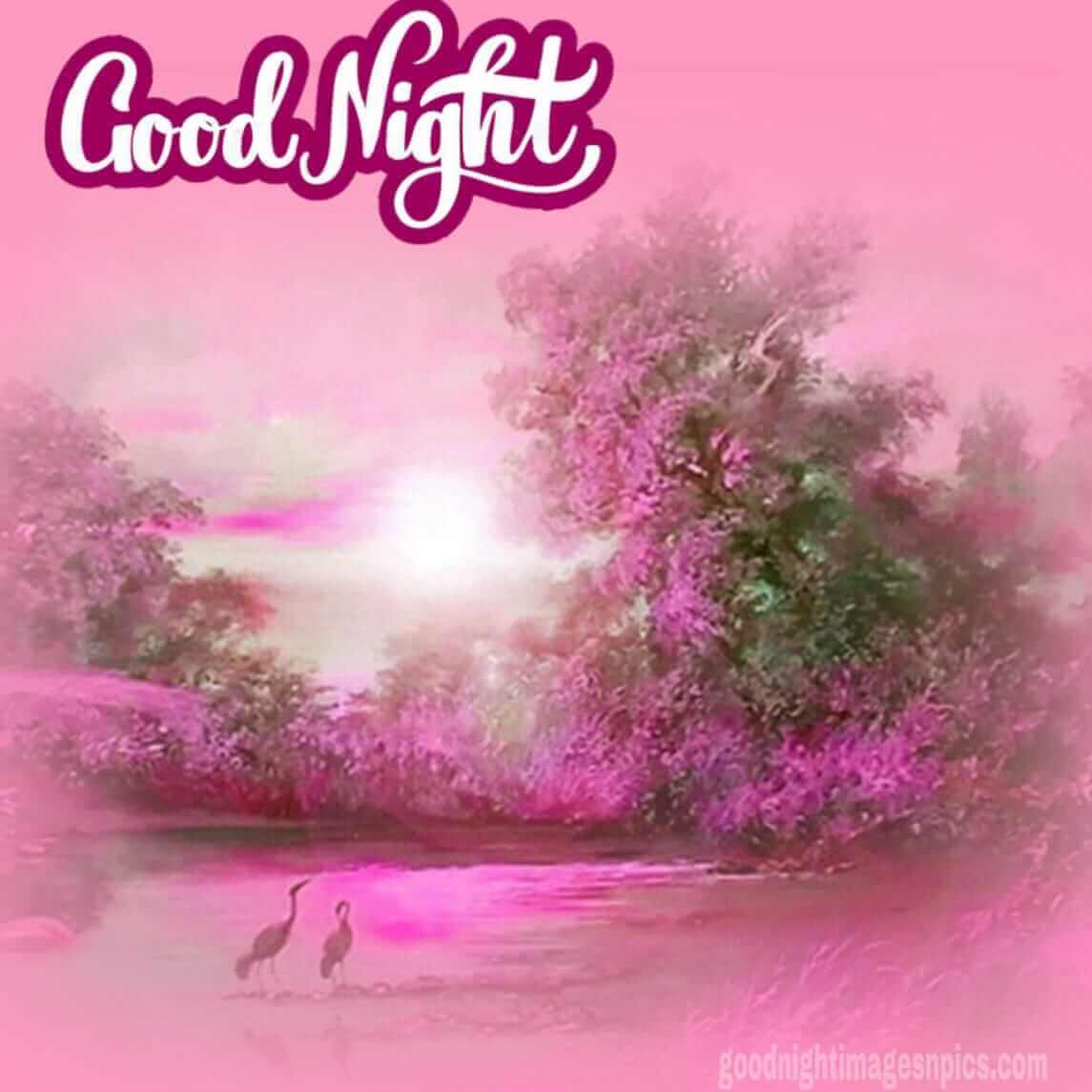 Lovely Good Night Images Lovely Good Night Images