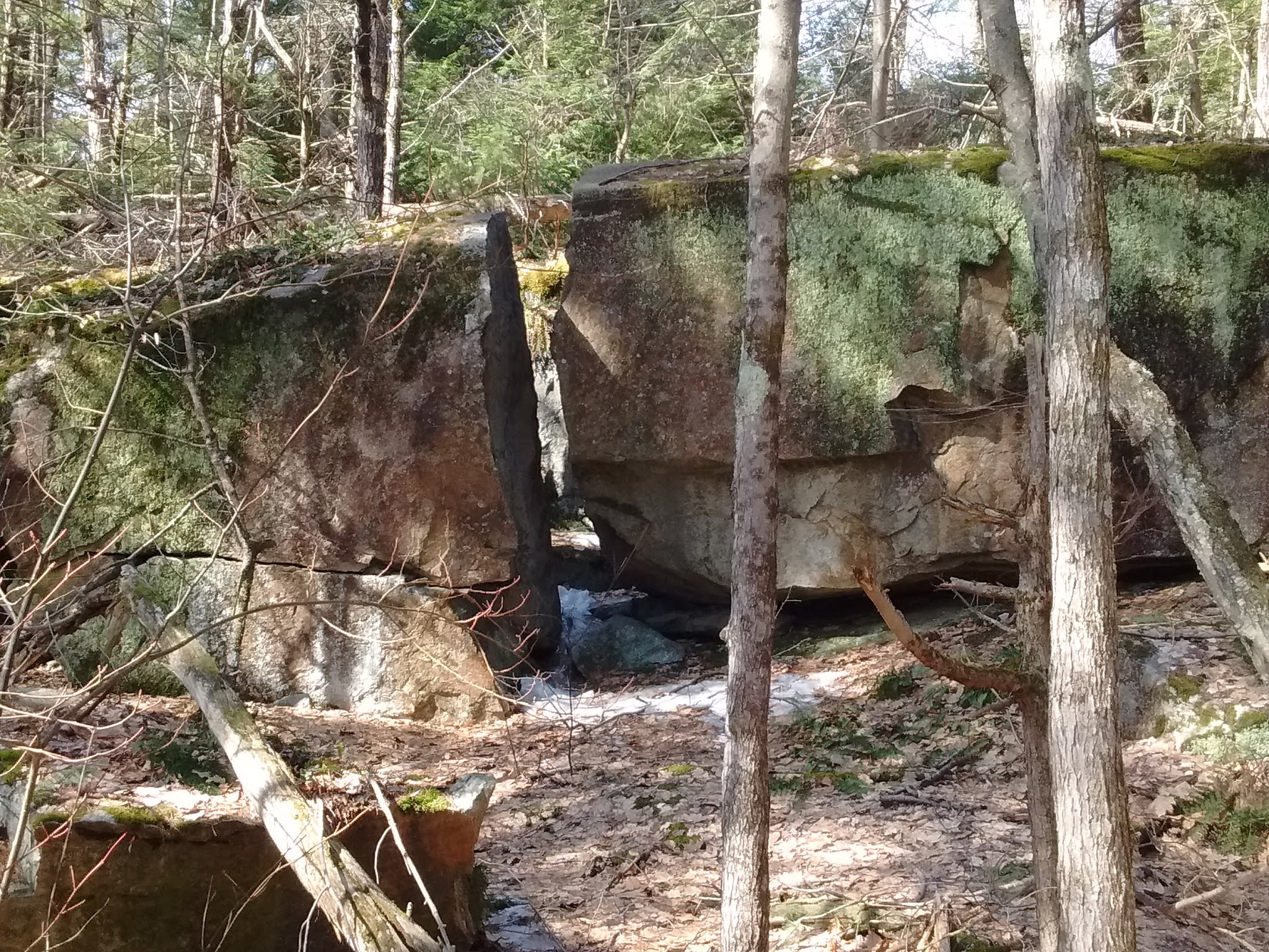 LAKE CHAMPLAIN, SPLIT ROCK WILD FOREST hiking