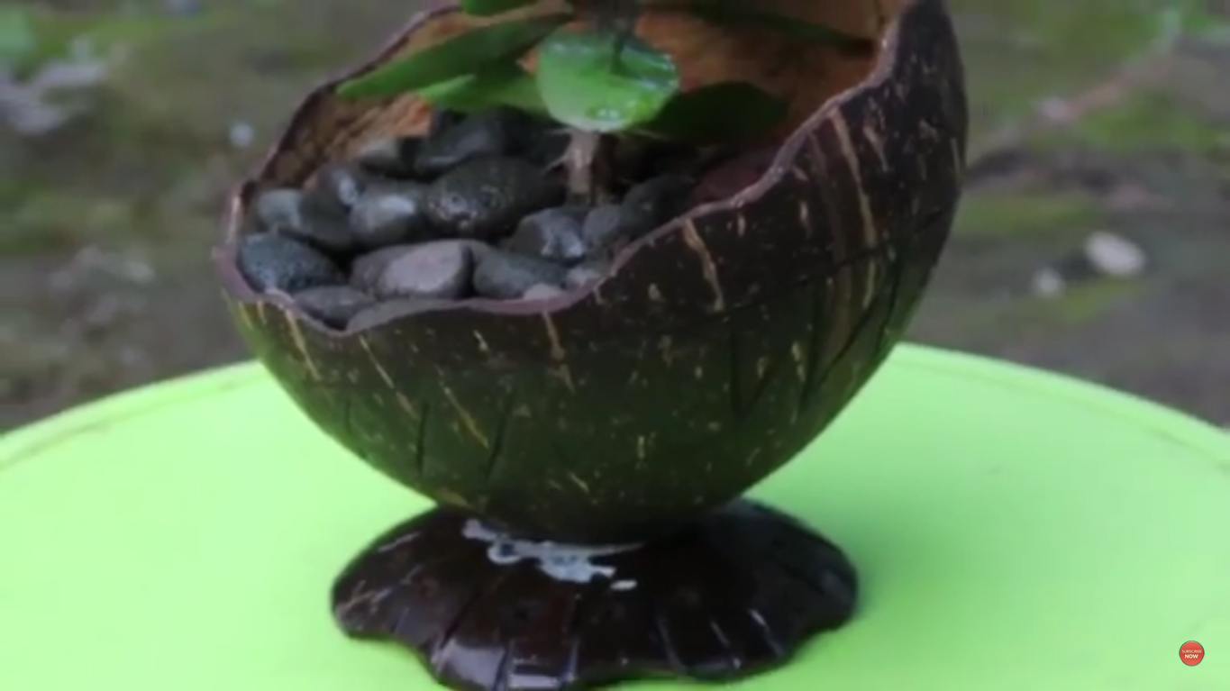Cara Membuat Kerajinan Pot  Bunga Dari Batok Kelapa Besarta 