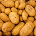 BATATA: Safra das secas se intensifica, e preços recuam