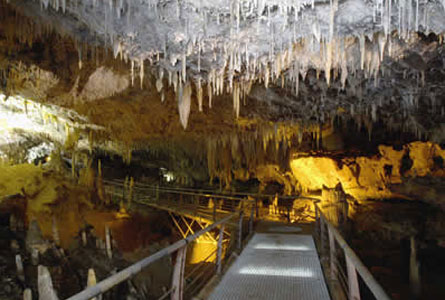 cuevas de enebralejo