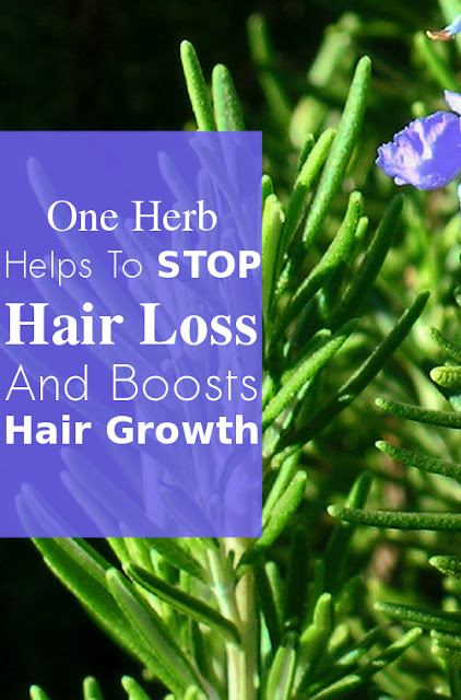 One Herb Helps To Stop Hair Loss And Boosts Hair Growth, Try This