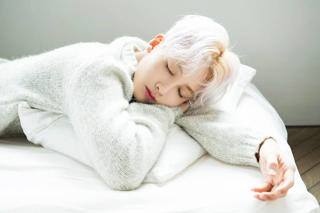 2017%2B%25EC%2595%2599%25EC%2595%2599%2B