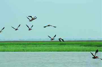 ঈদে পর্যটকদের মুগ্ধ করতে প্রস্তুত লাউয়াছড়া হাকালুকি, হামহাম