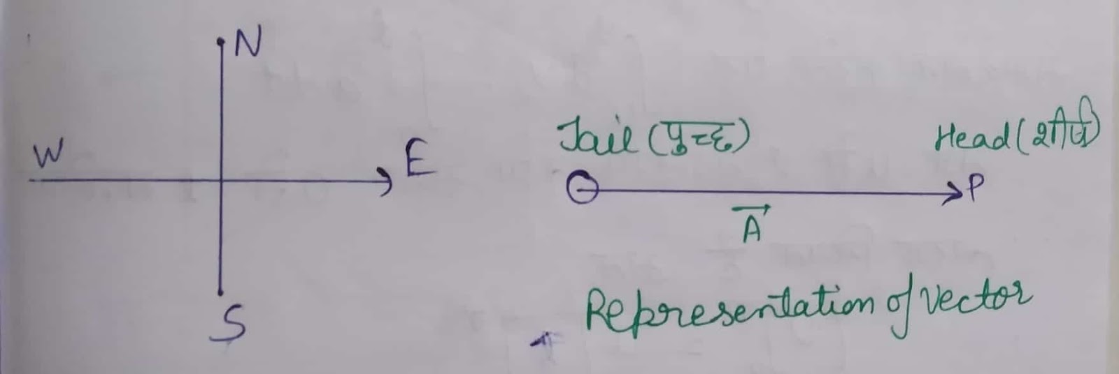 सदिश राशि एवं अदिश राशियाँ - vector and scalar quantity in hindi