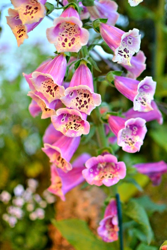 Chelsea in Bloom Monica Vinader