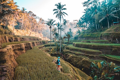 Waktu Sesuai Melancong Ke Bali