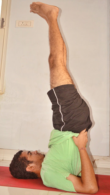 sarvangasana benefits, sarvangasana yoga, sarvangasana steps,  sarvangasana ke labh,