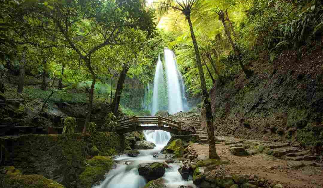 Air Terjun Jumog: Lokasi, Rute, dan Harga Tiket - Yanacircle.com