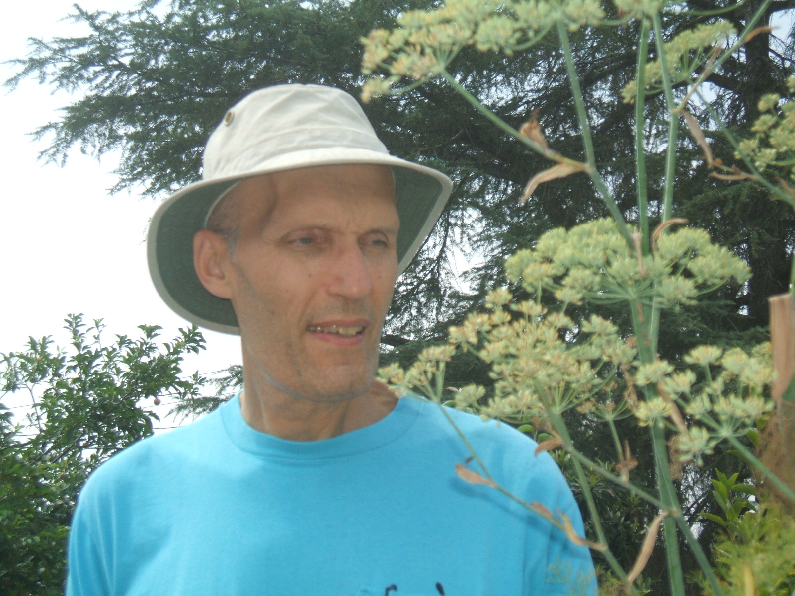 Voice In The Wilderness: Carel Struycken