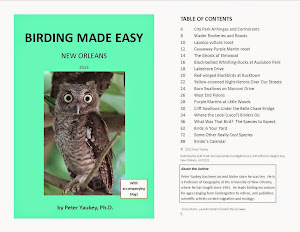 LOCAL GUIDE BOOK:  BIRDING MADE EASY- NEW ORLEANS