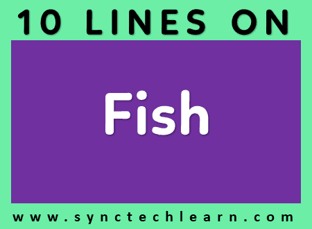 10 lines on Fish in English - Short essay on fish - Few lines on fish