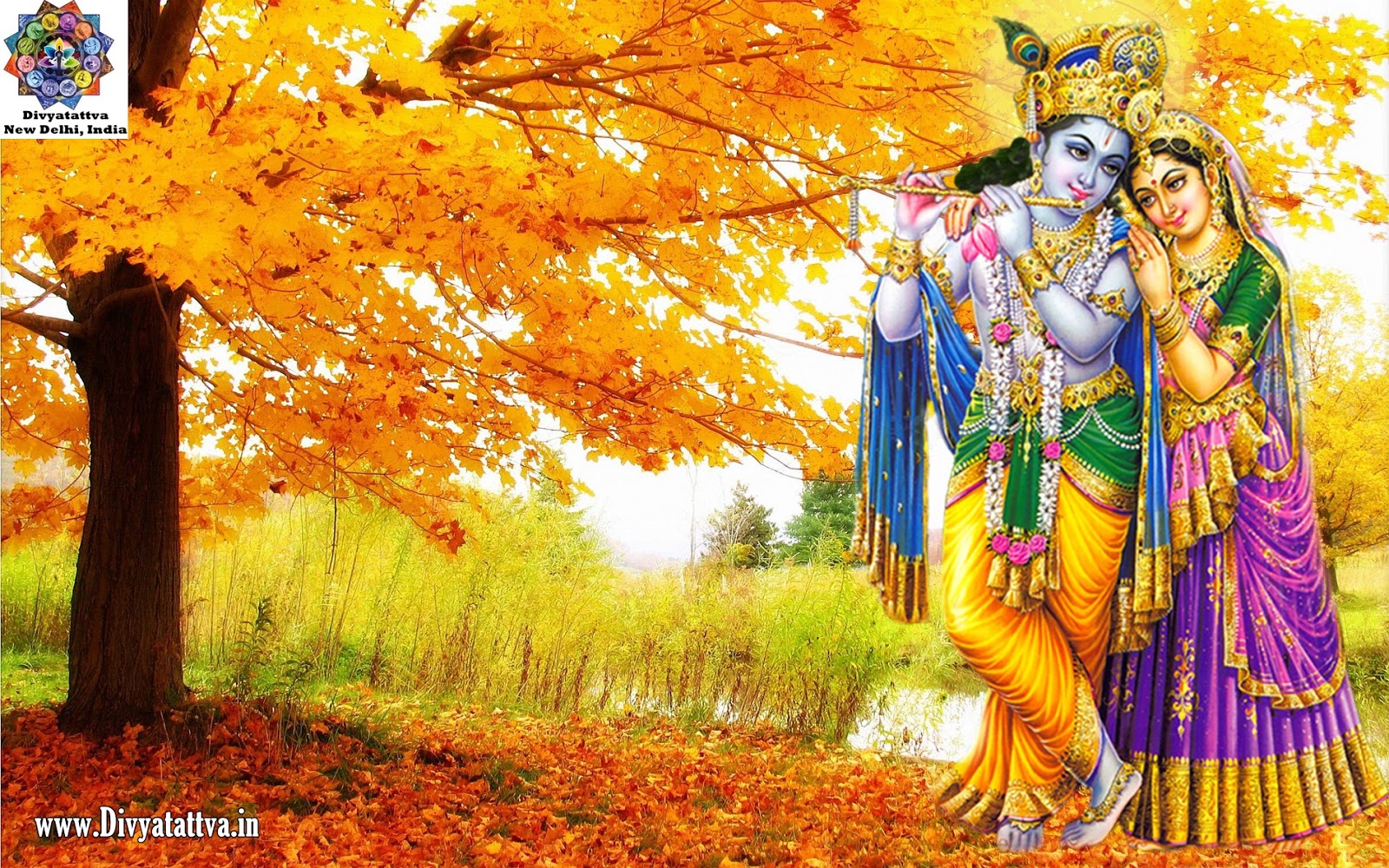 1227+ Radha Krishna HD Wallpaper Download For Mobile