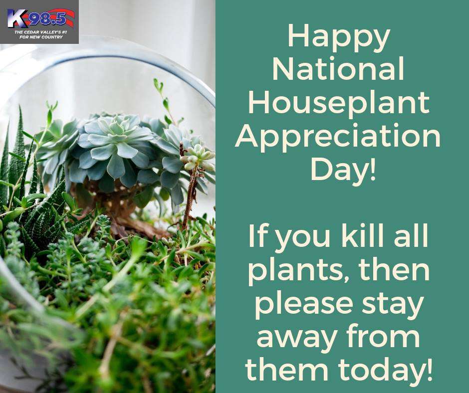 National Houseplant Appreciation Day Wishes Pics