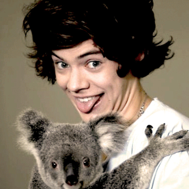 harry styles funny zoom backgrounds