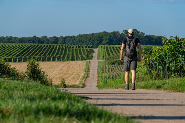 Durchs Tiefental bei Mühlhofen | Wandern Südliche Weinstraße | Billigheim-Ingenheim | Wanderung Pfalz 09