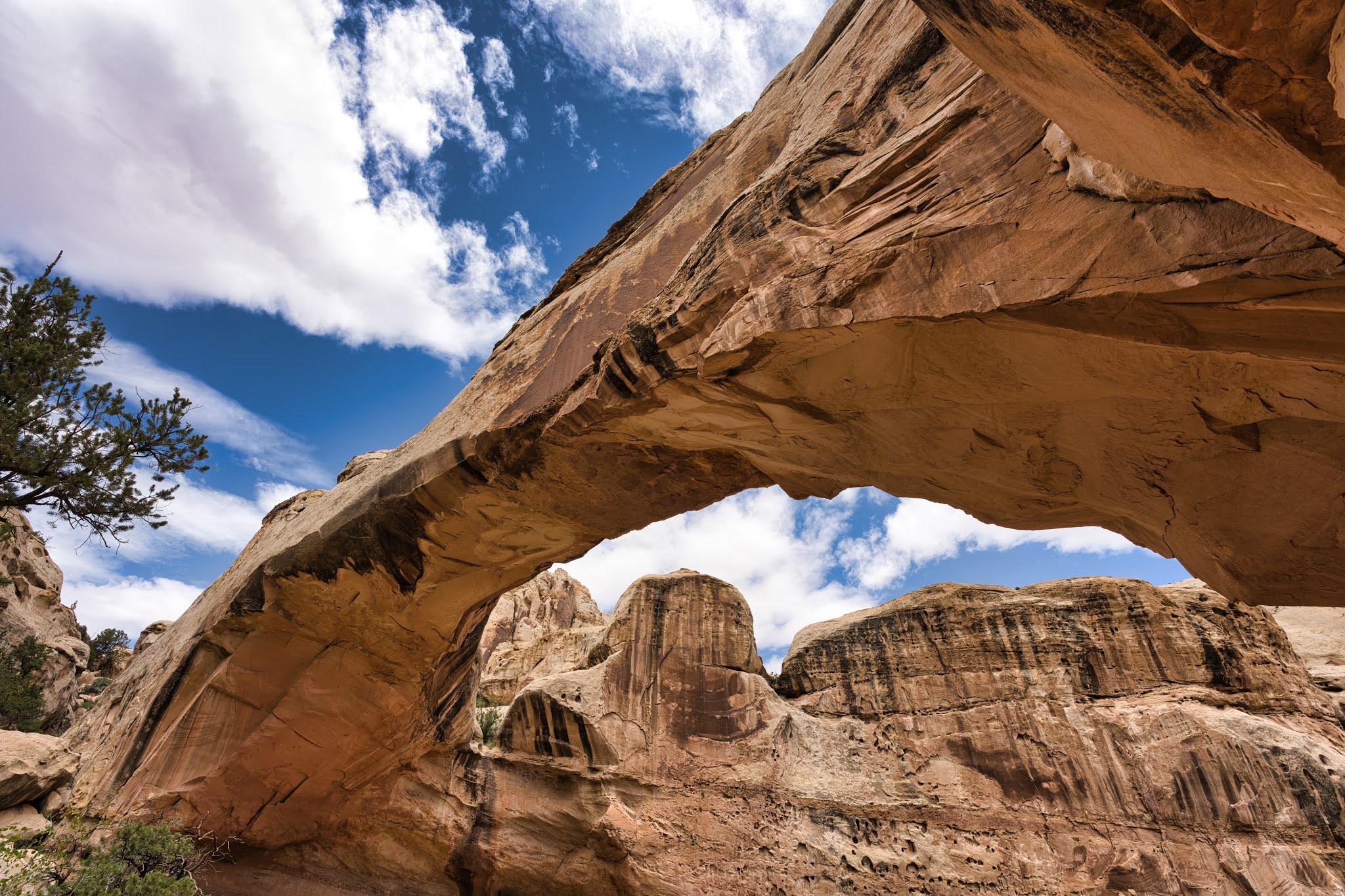 hickman bridge arch