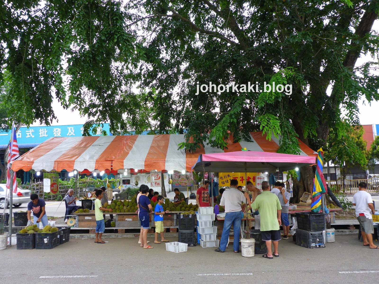 Durian Hunting in Johor Bahru Malaysia JK1702 Tony Johor Kaki Travels