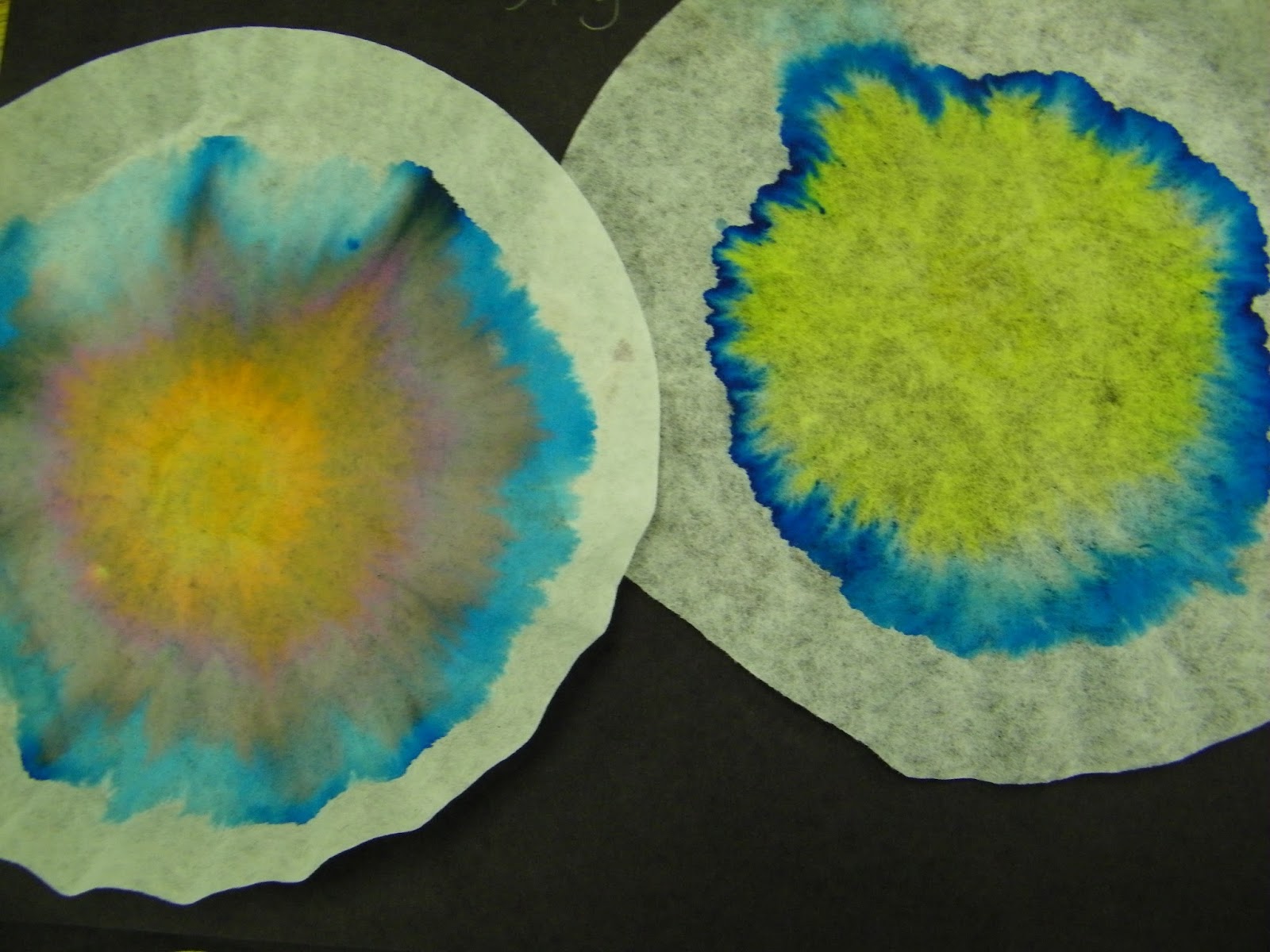 Mrs. Edwards Class: Experiment: Black and Green Ink