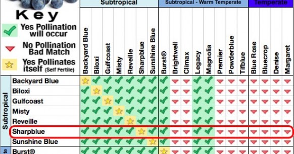 Fruit Tree Pollination Chart