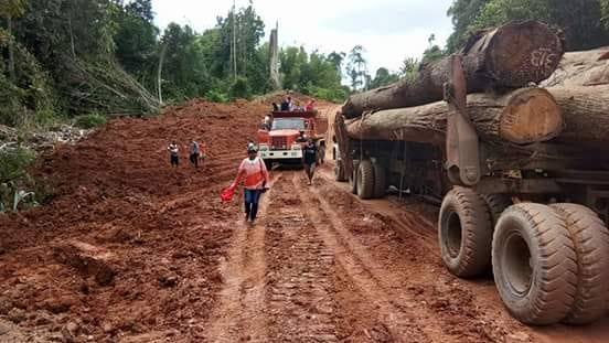Aktifitas perusahaan penebangan hutan di Ahiolo-Abio, Seram bagian Barat