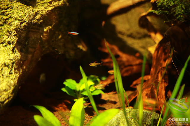 浅虫水族館