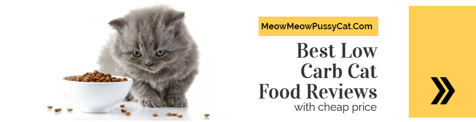 Low Carb Cat Food