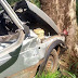Cobra causa acidente com carro em Santo Antônio da Platina 