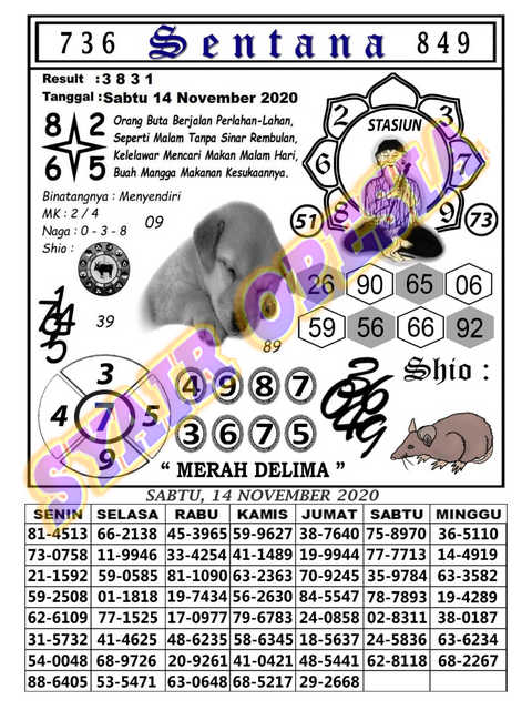 Kode Syair Hongkong Sabtu 14 November 2020 Kumpulan Syair Toto