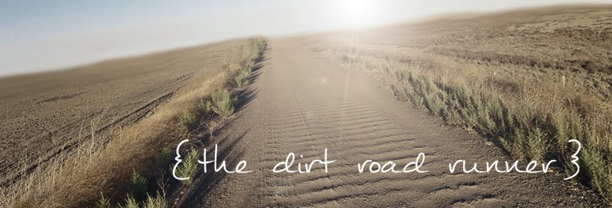 The Dirt Road Runner