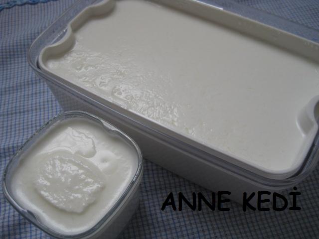 anne kedi