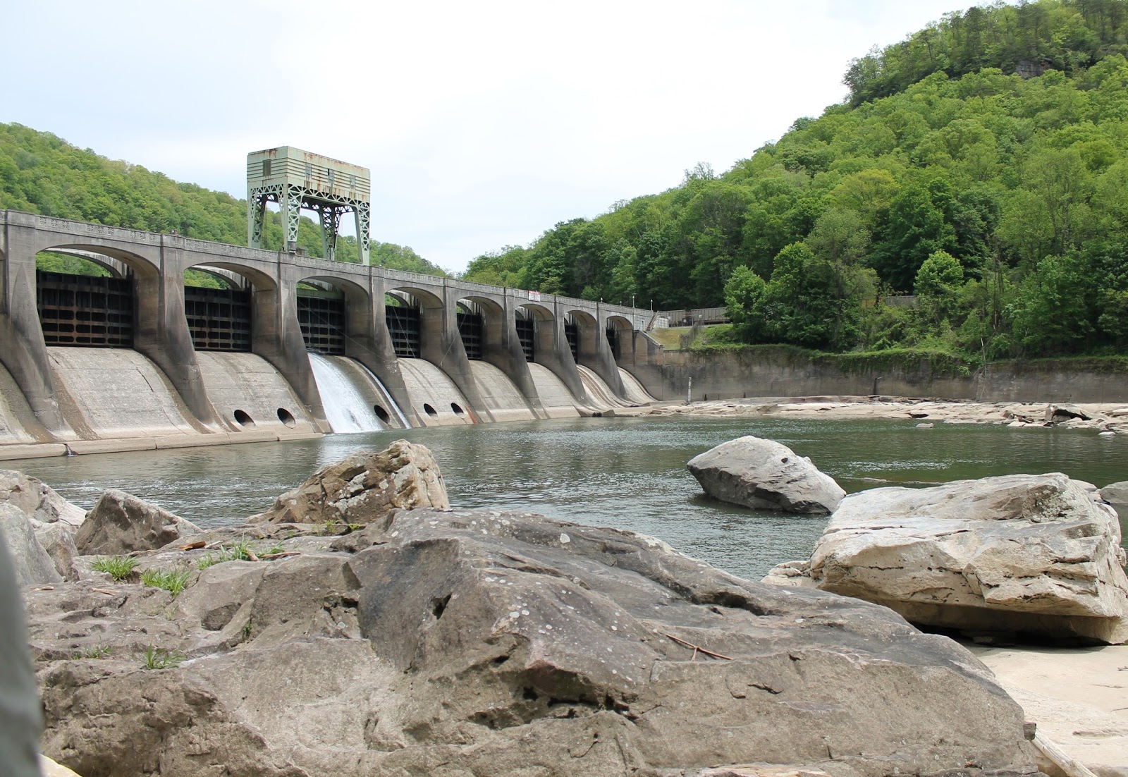 Virginia Tech Ichthyology Class Fish Can't Travel Like We Can, by Don