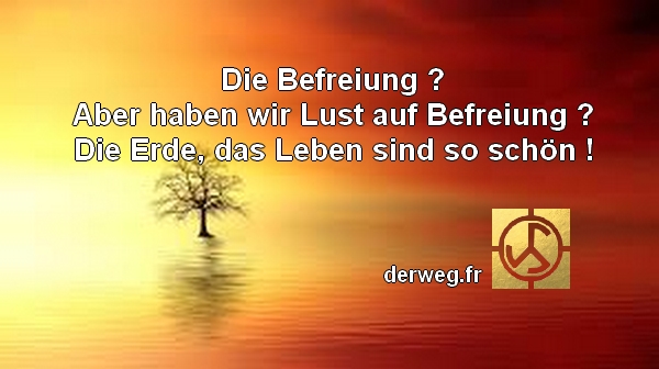 Cat Ladt Ein Mammut Marketing