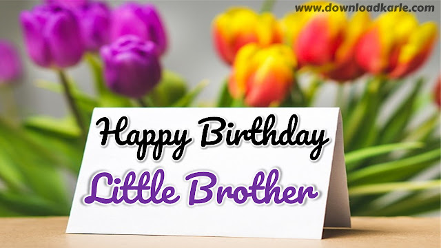 Happy Birthday Little Brother - Images, Meme, Quotes & Wishes