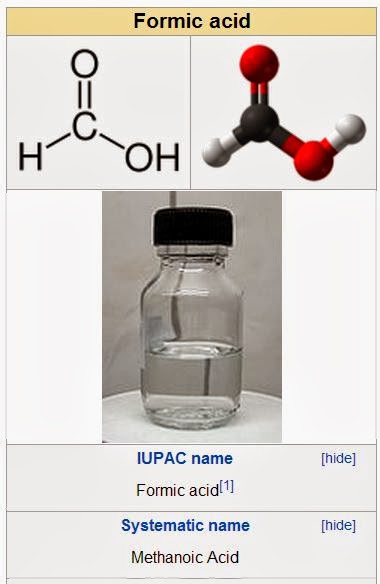 Medicine Newbie: Fatty Acids