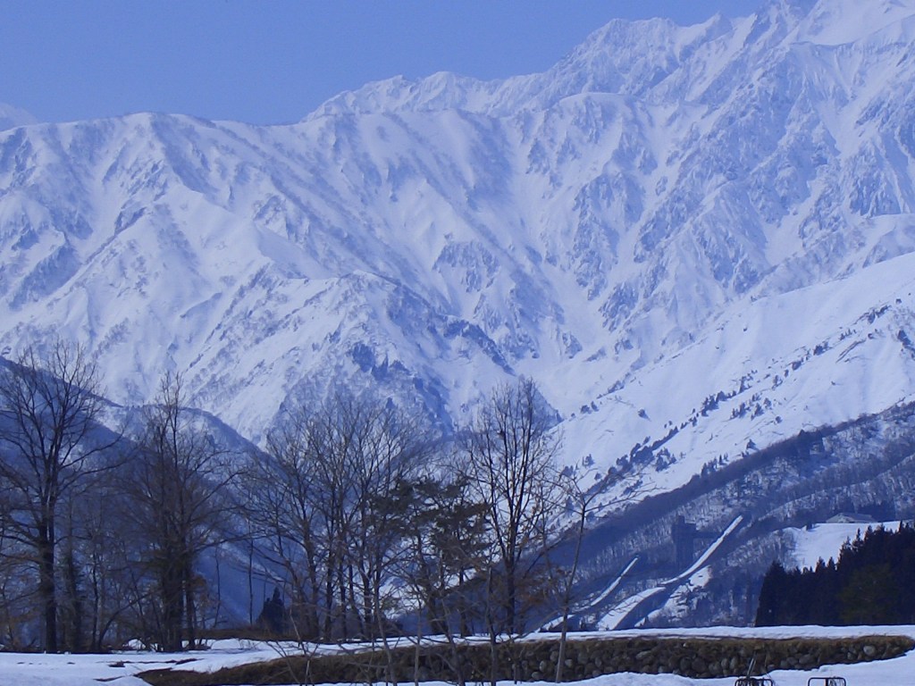 信州の自然素材集 信州を歩こう43