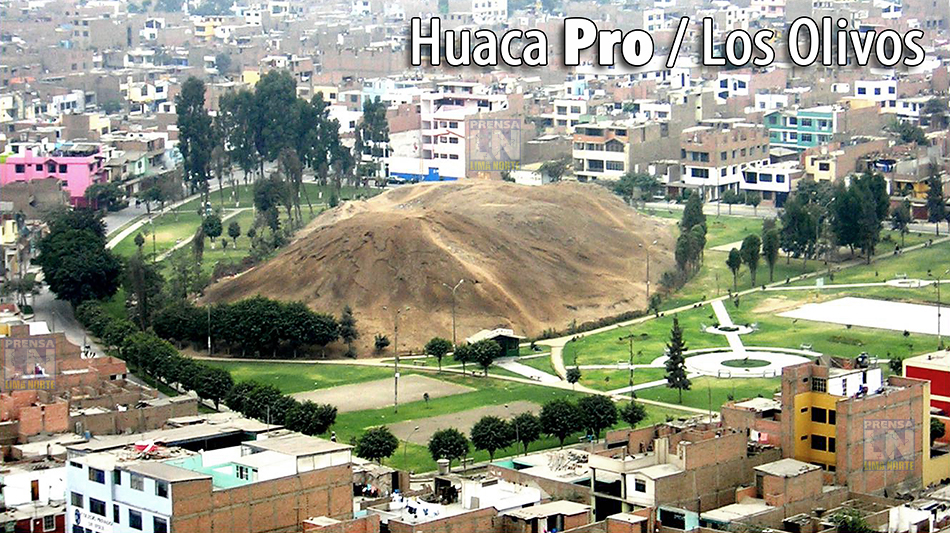 MODELO DE PLAN DE GESTION DEL DISTRITO DE LOS OLIVOS 2019